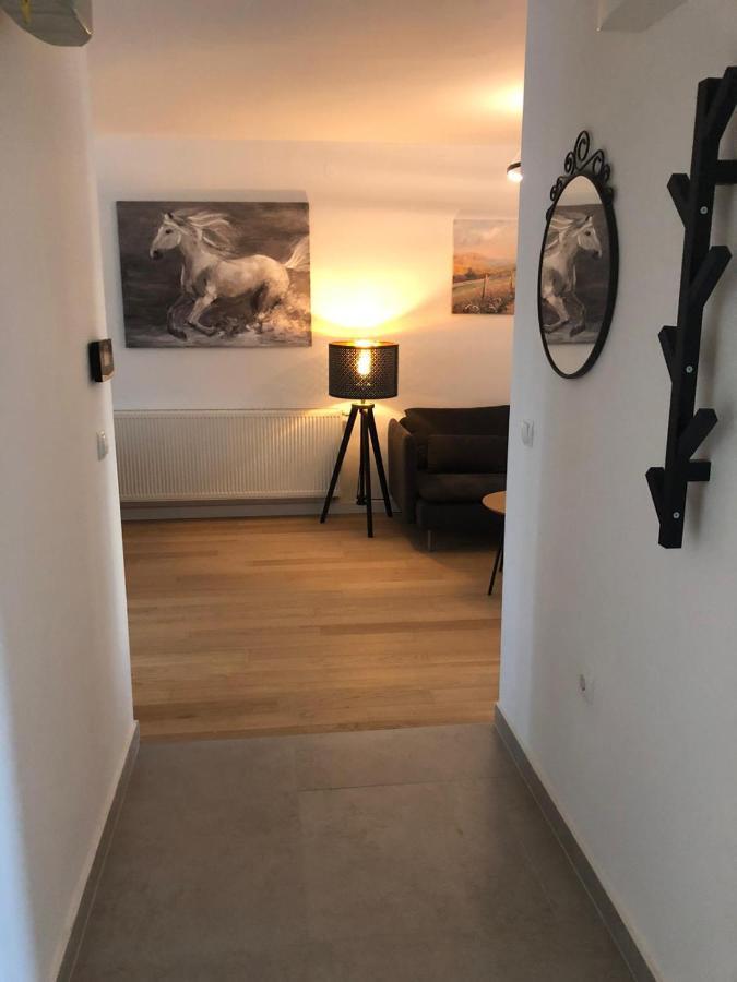 זאגרב Apartment Molly מראה חיצוני תמונה